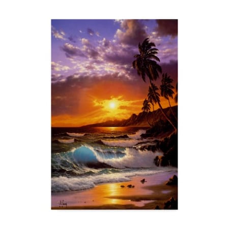 Trademark Fine Art Anthony Casay 'Sunset Coast 5' Canvas Art, 16x24 ALI20388-C1624GG